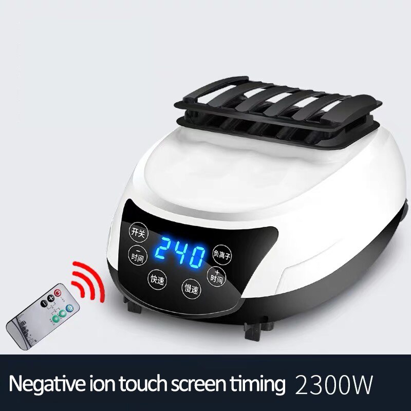 Negative ion Electric Clothes Dryer Portable Quickly Drying Clothes Shoes Electric Heater Dryer Machine Warm Air Remote Control: 2300W