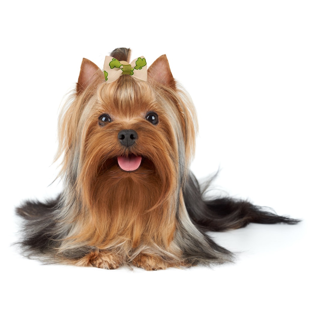 Cute Ribbon Puppy Medium Small Dog Hair Bows Random Colors Pet Hair Accessories Pearls Style Flower Pattern Dog Bows