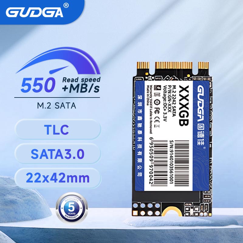 GUDGA M2 SATA 2242 SSD SATA3 128 GB 256 GB 512 GB NGFF Interne Solid-State-Festplatten TLC für Laptop Destop Thinkpad
