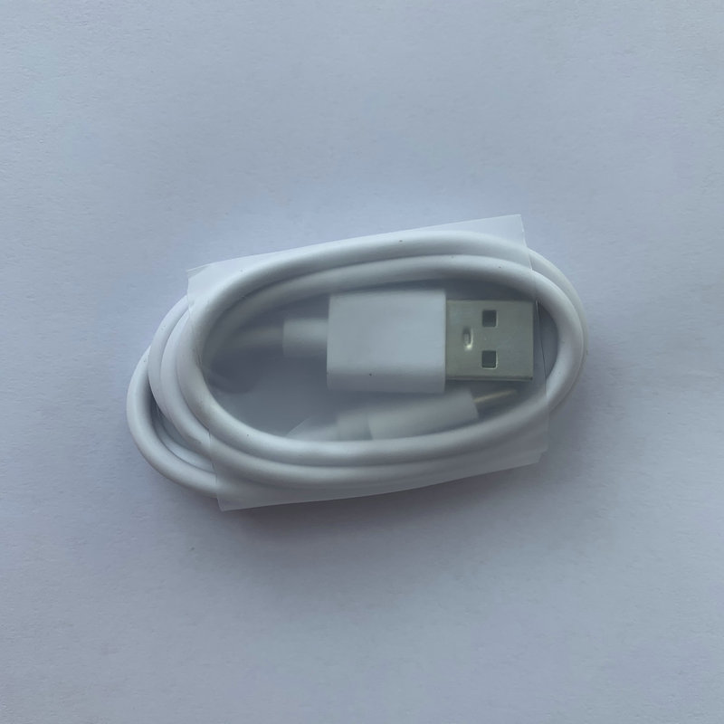 Caricabatterie rapido per Doogee S96 Pro S96GT T10 T20 T30 Pro Tablet N50 24W EU Tipo-C Cavo USB Ricarica rapida Accessori per telefoni cellulari
