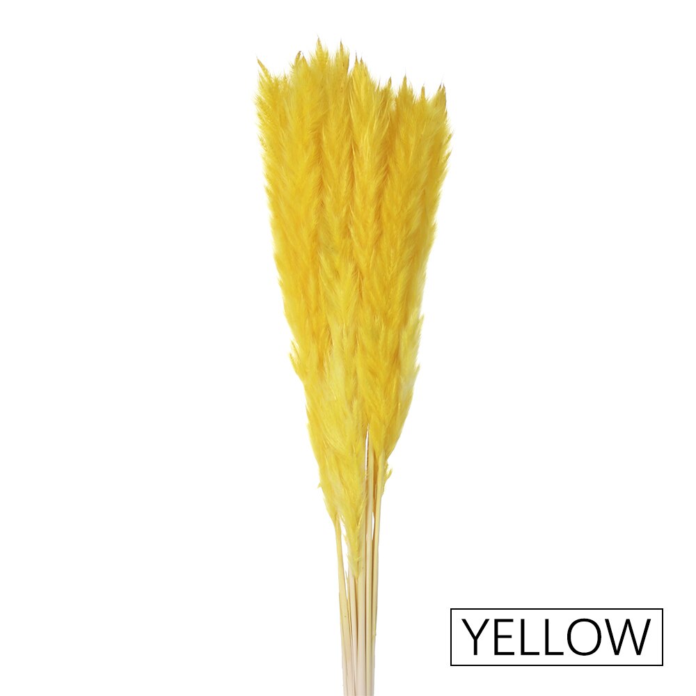 15/25 sztuk trzciny naturalne pszenicy kwiat bukiet suszone Pampas ślubny kwiat bukiet bukiety Bulrush dla Home Decor materiały ślubne: 15PCS-yellow