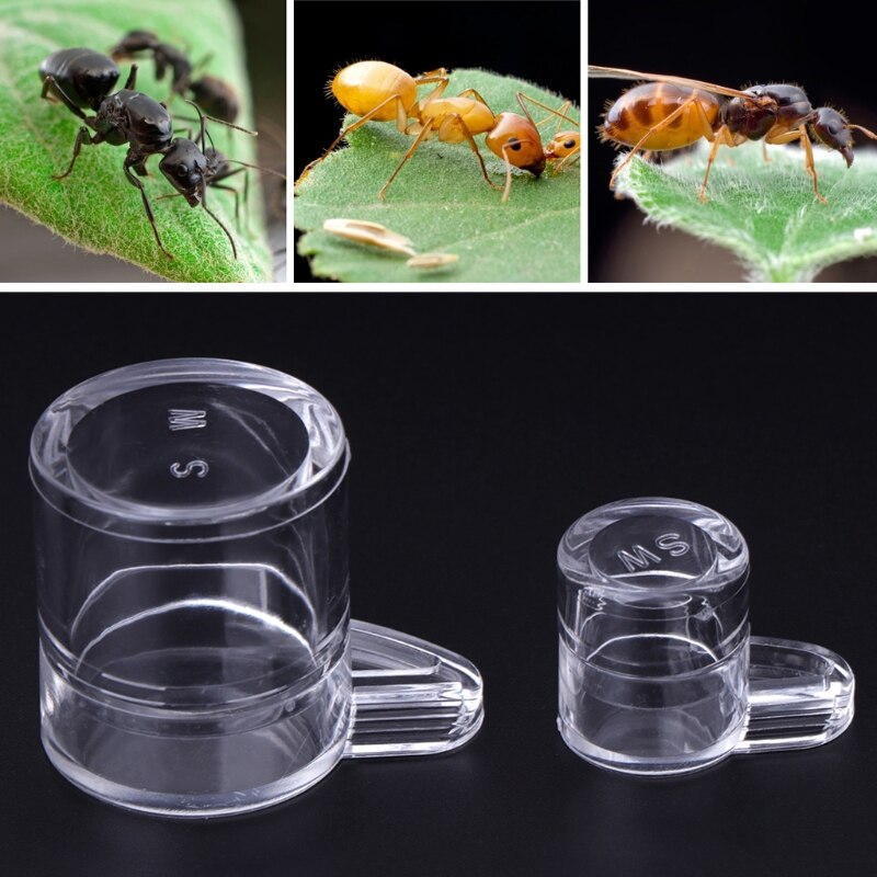 Bol rond en acrylique pour fourmis, zone d&#39;alimentation en eau pour nid de fourmis, maison de ferme, bol à boire