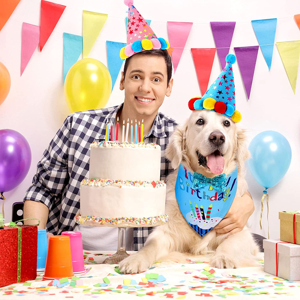 Sombrero de cumpleaños de perro y gato Kawaii, bufanda triangular, corona de lentejuelas, disfraz de de cumpleaños de mascotas, de Navidad Gorro, gatos