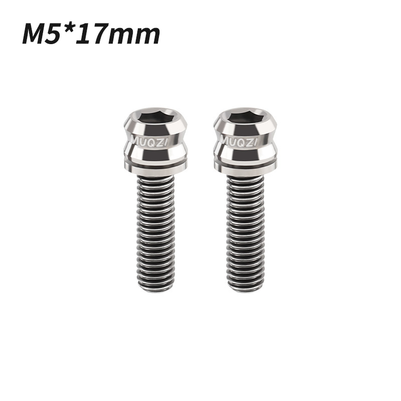MUQZI 2 Stück Titanschraube M5 x 17 mm M5 x 19 mm Fahrradmutter Titanlegierung Vorbauschrauben MTB Rennrad Faltrad Schraubenzubehör: Minze