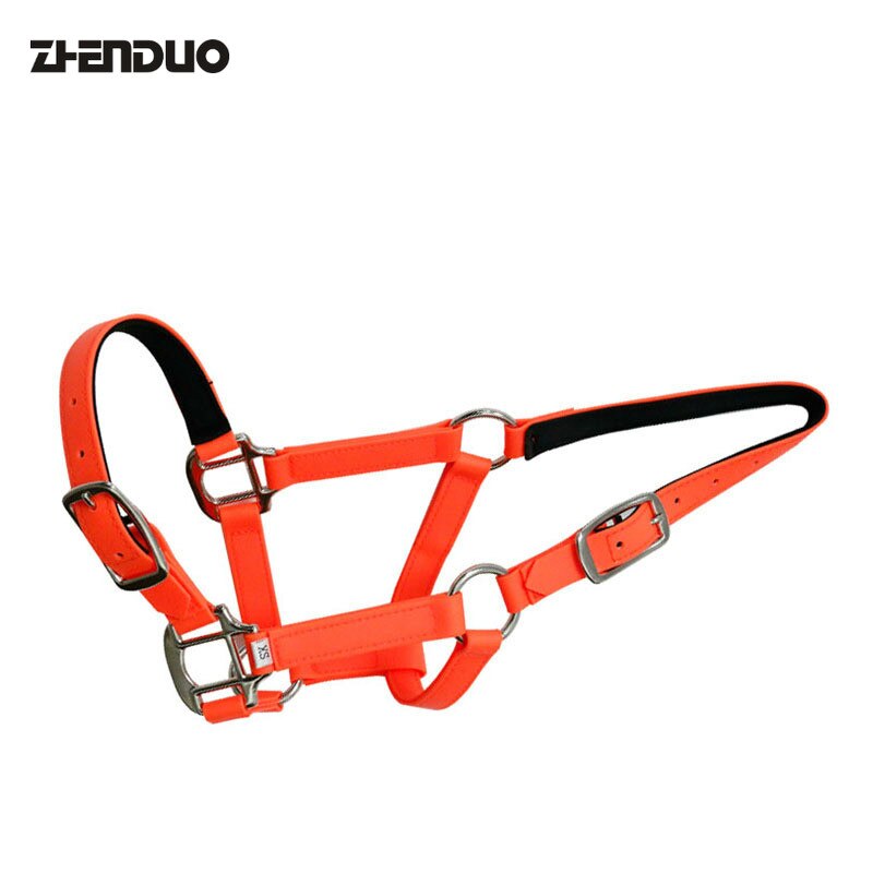 Imbracatura per cavalli