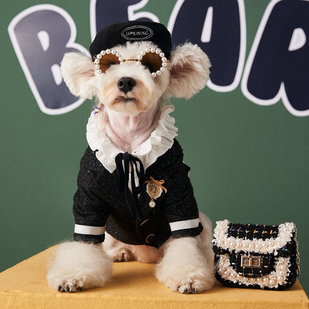 Béret ajustable coloré à la pour chien, accessoires de photographie, chapeau, chapeau, chapeau décoratif, petit gabarit, chiot, PC1617