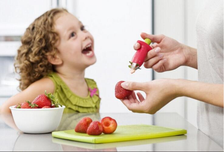 Strawberry Huller Stem Remover Remove Fruit Corer Slicer Fruit Desser Cute Portable Kitchenware Tomato Stalks ST10