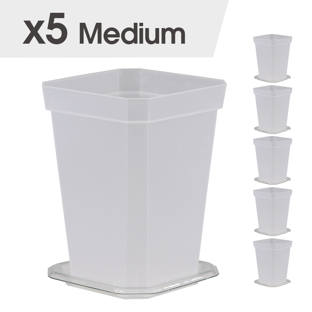 4-maten tuinkwekerij zaailingbeker met warmer deksel vochtigheidskoepel voor binnenkas bloempotten container kweekpotten: Black