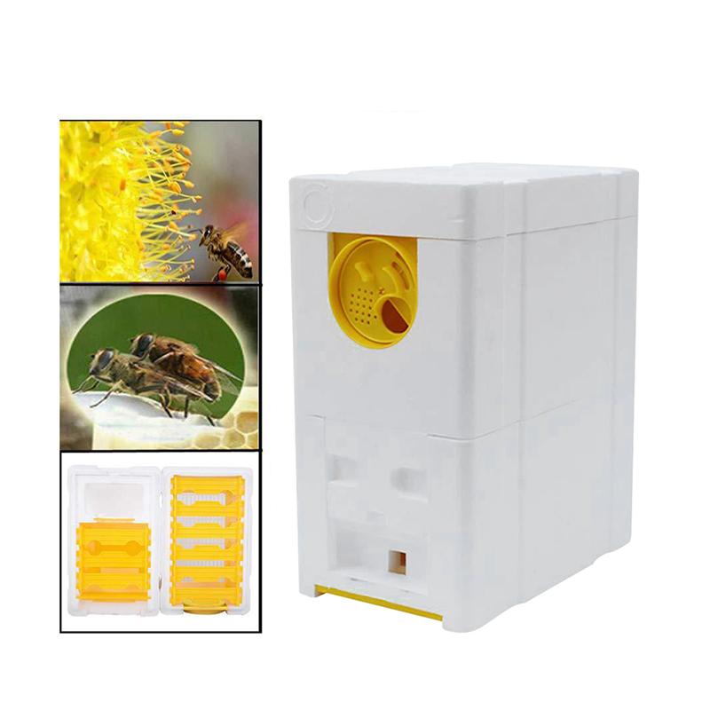 Double Layer Bee Box Bee Storage Box Beehive Bee Mating Box Beekeeping Tool
