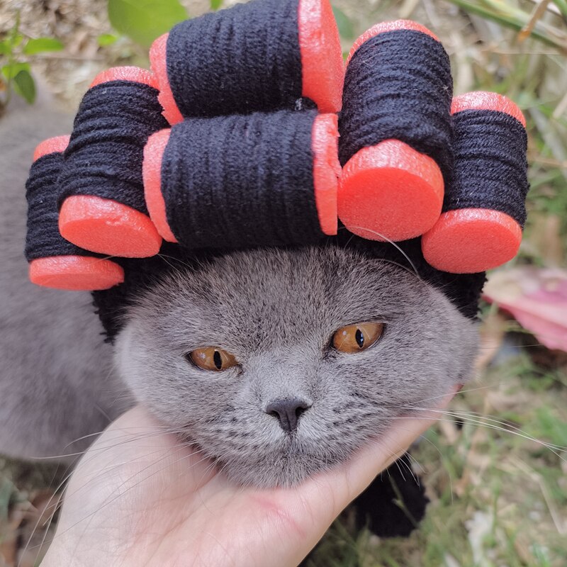 Peluca de gato con rulos para el pelo, Pelo Rizado Adorable, tocado, también adecuado para perros pequeños