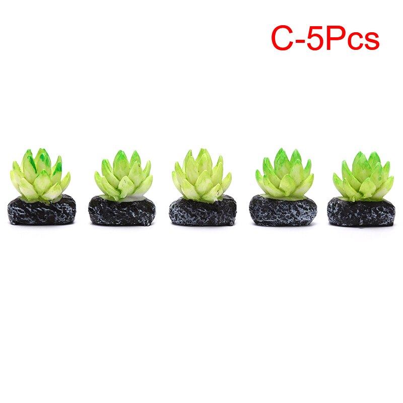 4/5 sztuk mini drzewo doniczkowe kaktus mięsiste roślin domek dla lalek dekoracja zewnętrzna mikro: C