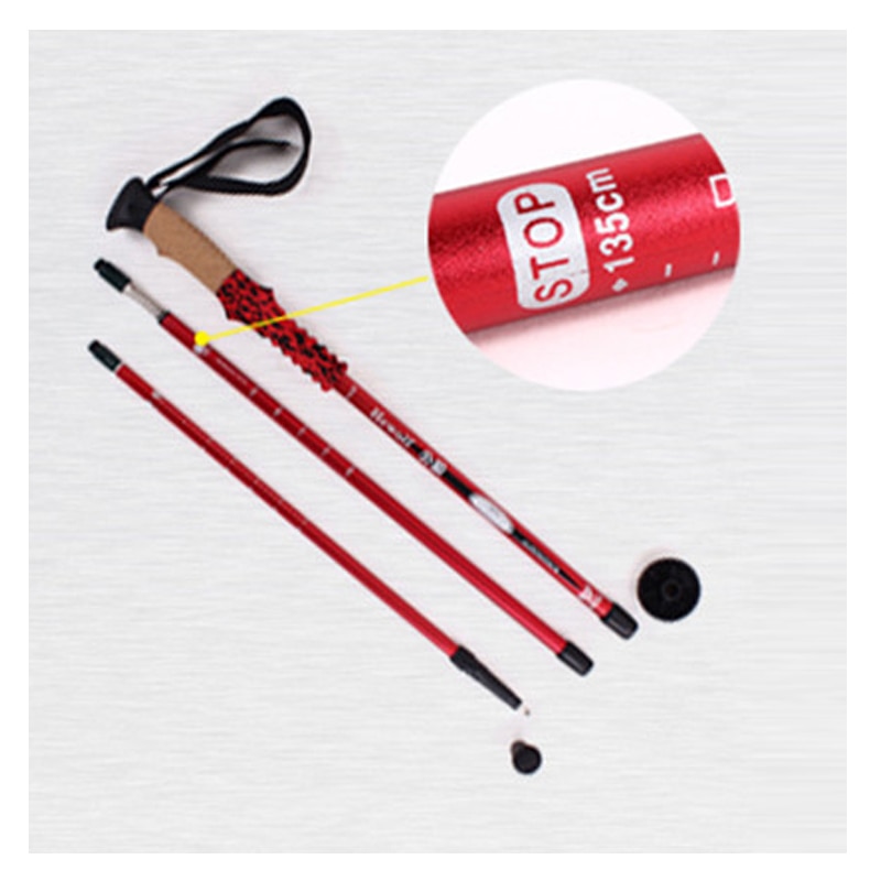 Hiking Tracking Sticks for Nordic walking Scandina... – Grandado