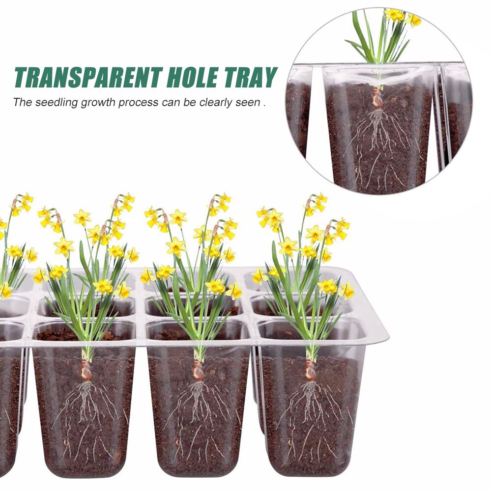 Boîte de Germination pour plantes de jardin, 10 pièces, pépinière, semis, plantation de graines, Kit de plateau de démarrage, boîte de croissance, Propagation pour le jardinage