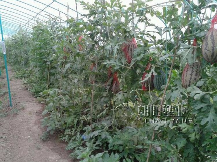 20 PCS Reusable Red Gardening net plastic mesh bags of fruit string bag Fruit growth mesh bag Home storage length 45cm