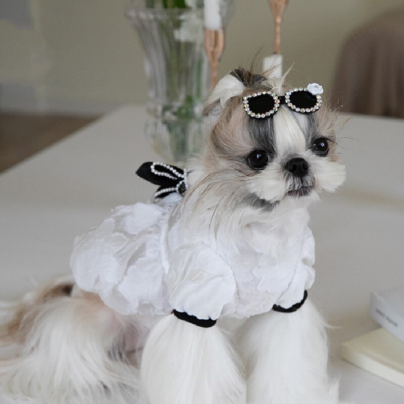 Summer Dog Dress Cat Puppy Dresses Cute Blwknot Pearl Dog Skirt Chihuahua Yorkie Pomeranian Bichon Poodle Pet Costume Apparel XS