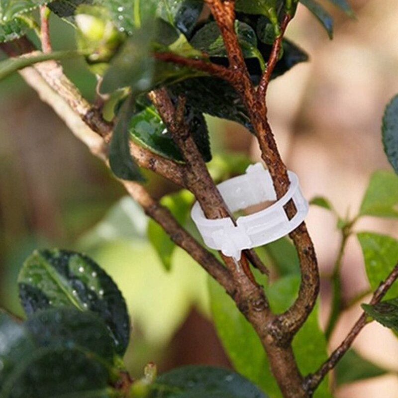 10 stuks aardbeienstandaard balkonbeplantingsrek fruitondersteuning houder bloem klimplant pilaar met plantenklem