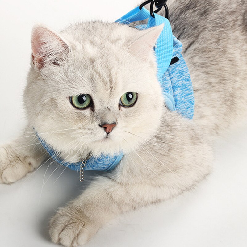 Cat Adjustable Chest Strap Cat Harness Escape Proof Small Cat Dog Vest Harness With Strap Soft Mesh Walking Jacket for Kitten