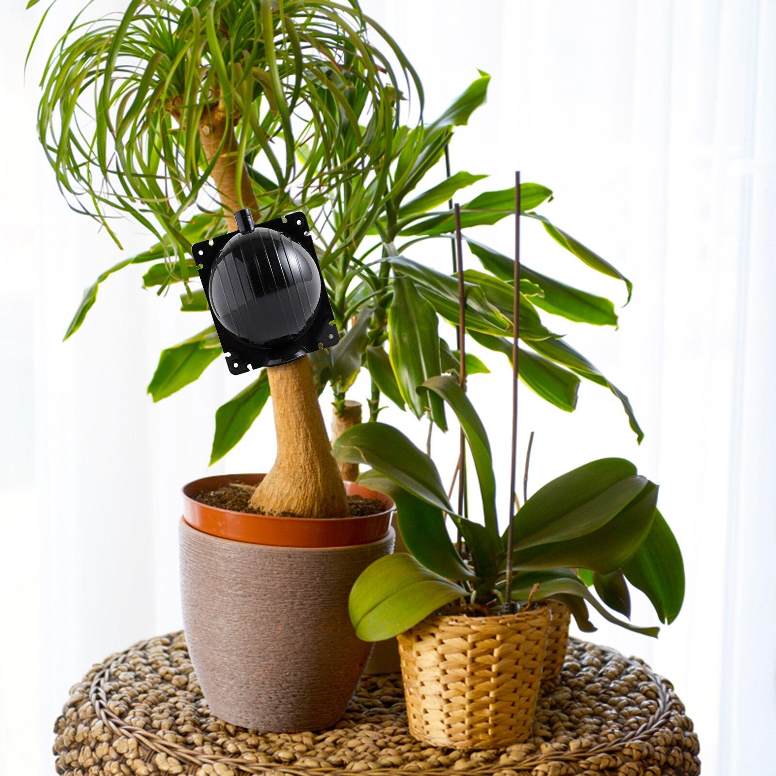 5 Pack Tree Root Growing Box Rooting Ball Grafting Tools Reusable High Pressure Tree Rooter Air Layering Propagation Kit