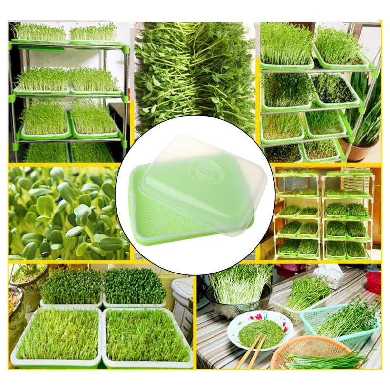 Seed Sprouter Tray BPA Free PP Soil-Free Wheatgrass Grower Lid Plate Hydroponic