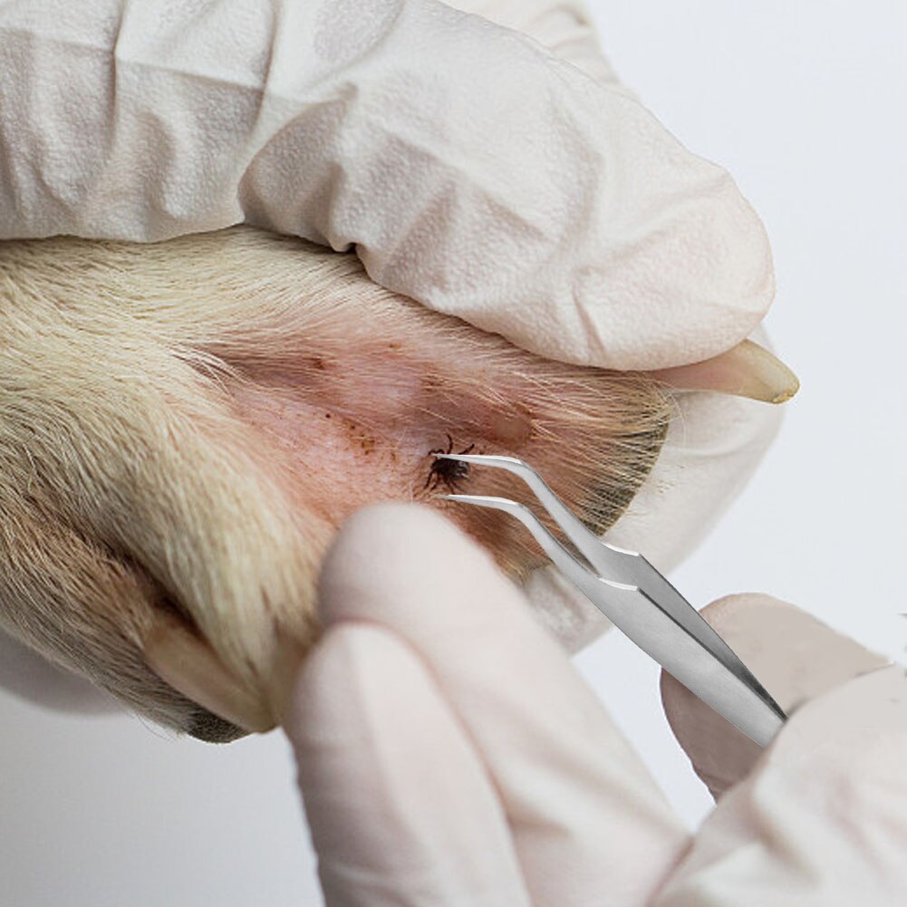 2 In 1 Rvs Tick Pincet Professionele Quick Tick Removal Tool Voor Kat Hond Mensen Verwijderen Teken Vlooien Louses etc