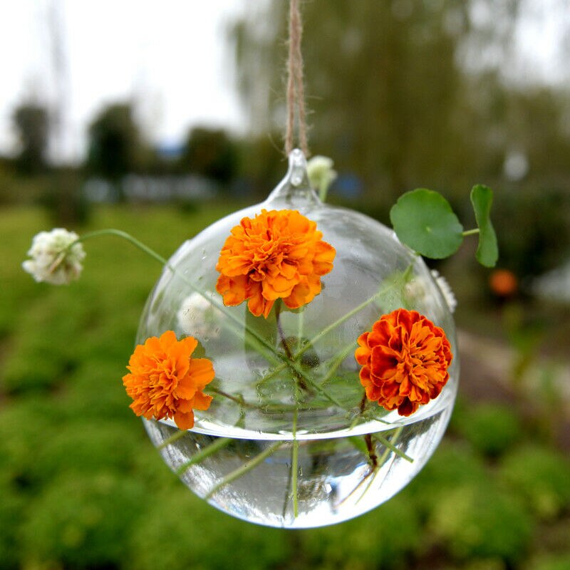 Transparent Clear Glass Flower Plant Stand Hanging Vase Planter Terrarium Container Home Garden Office Decor
