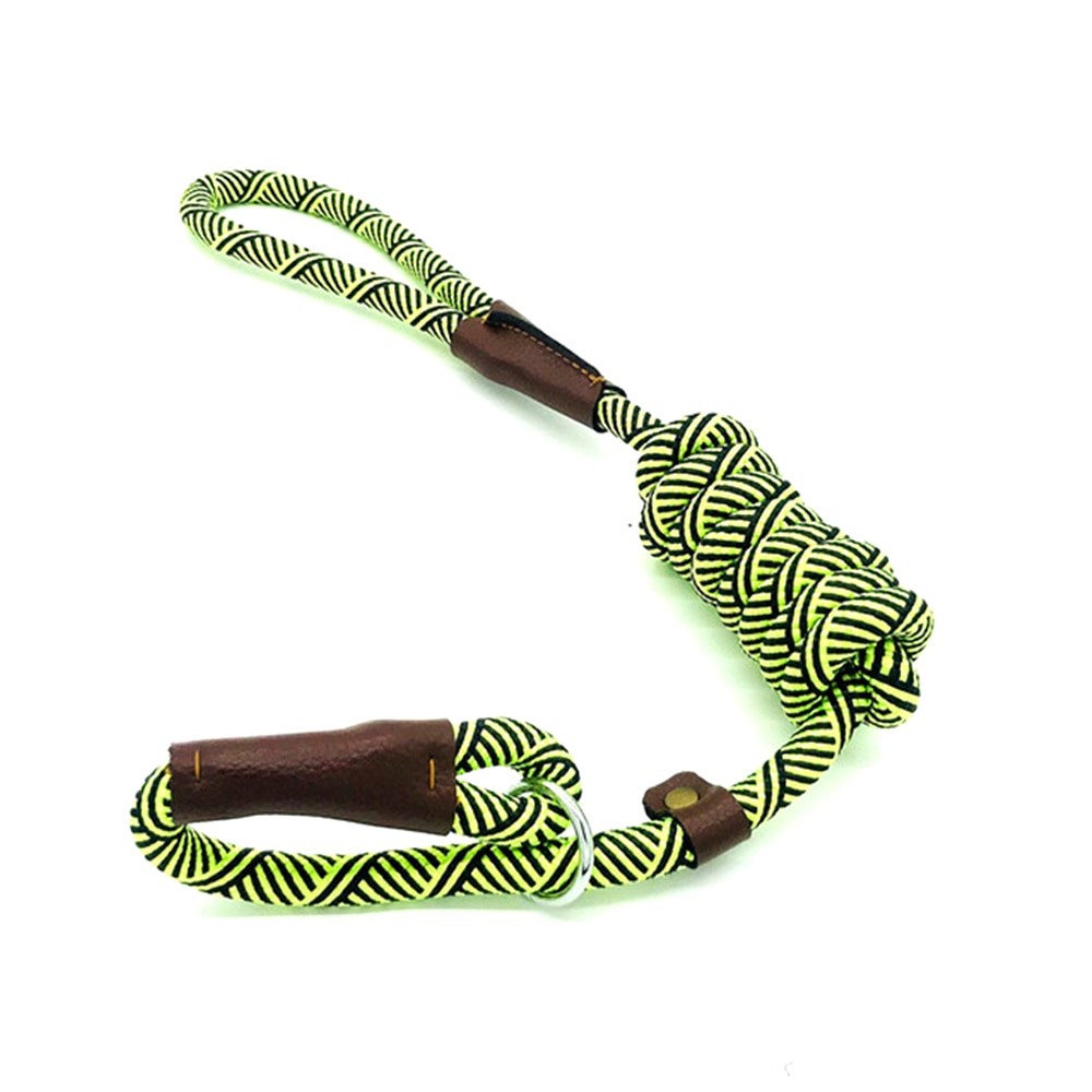 Durable Slip Rope Dog Leash Collar 2 In 1 Adjustable Loop Collar Comfortable Small Medium Large Pet Harness Leash: Green / 180cm