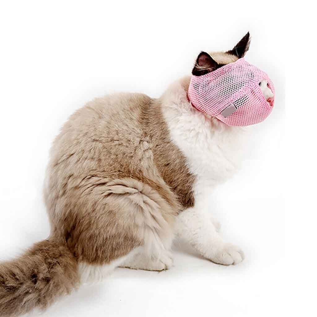 Andningsbar katt nätmask katt munkorg anti bite kattunge mus munkorg för att bita bad skönhet reseverktyg katter grooming tillbehör