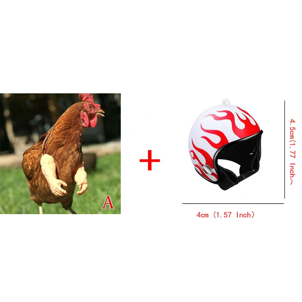 Juguete para manos de pollo, de broma, casco para gallinas, decoración divertida de aves, músculos, juguetes con brazos: A and Helmet