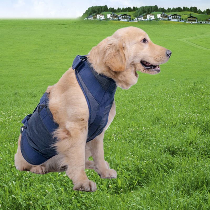 Pet Dog Lifting Harness With Handle Front Rear Set Heavy Duty Dog Vest Harness Assist For Walking Auxiliary Training Senior Dogs