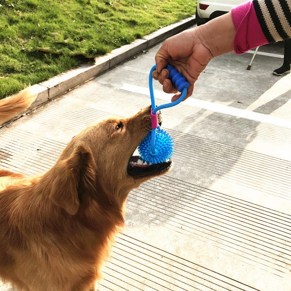 Pet Toys For Golden Retriever Large Dogs Training Elastic Drawstring Ball Small Dog Chew Toy Funny Dog Interactive Toys