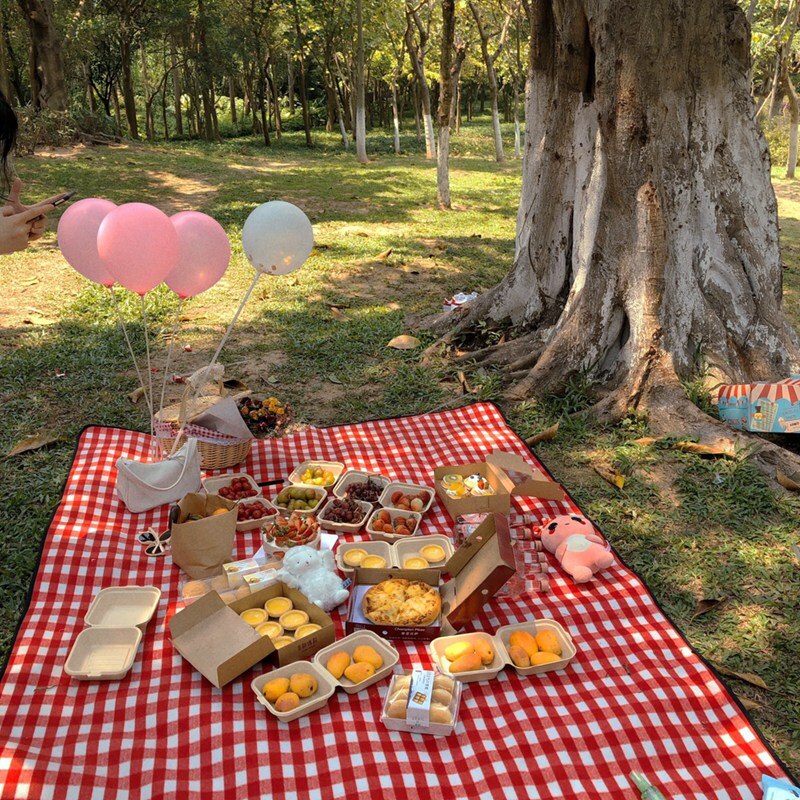 Picnic basket country style wicker picnic basket hamper with lid and handle & liners for picnics, parties and bbqs