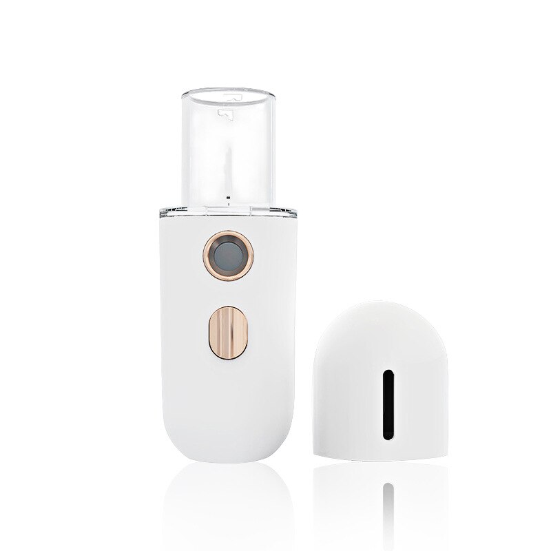 Nano Facial Sprayer Mini Facial Steamer Face Mist Steamer Mini Handy Mist Sprayer USB Rechargeable Nano Facial Mister for Daily
