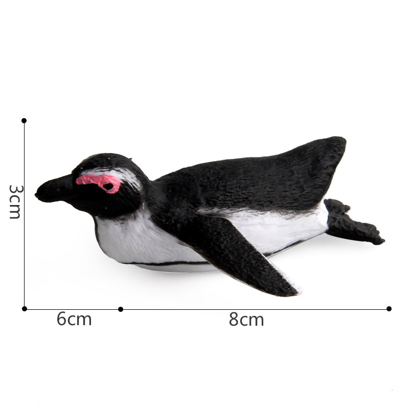 Antarctische Zeedier Simulatie Diermodel Pinguïn Micro Landschap Educatief Speelgoed Voor Kinderen Animal Model Decoratie: PL127-114