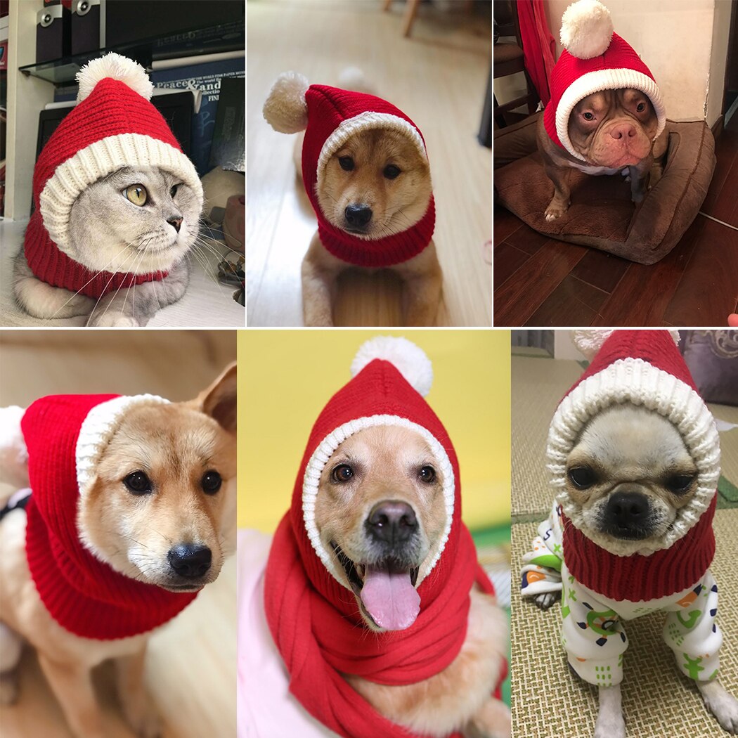 Strikket kæledyr hat varm behagelig dejlige hund hatte til kæledyr katte vinter varm strik hund beanie hvalpe – Grandado