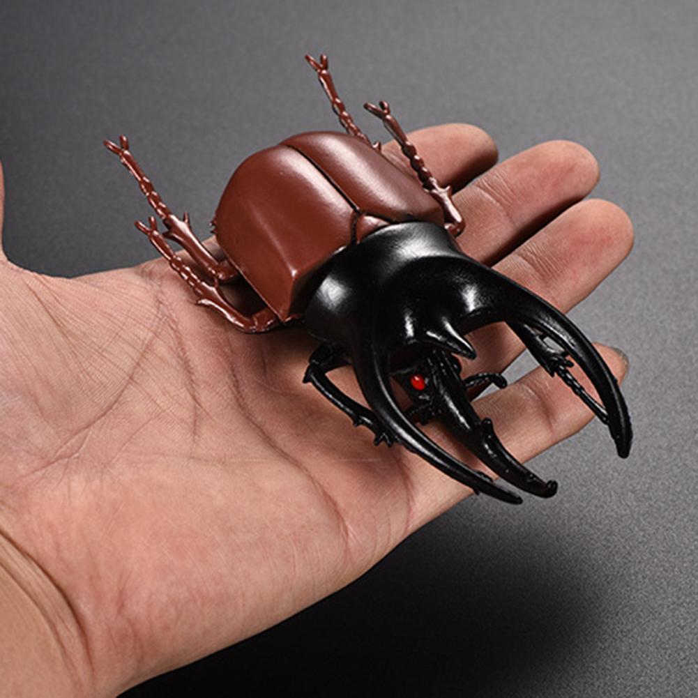 6Pcs Realistische Insect Modellen Simulatie Beetle Model Grappen Speelgoed Educatief Speelgoed Halloween Eng Gag Party Fun Prank Props
