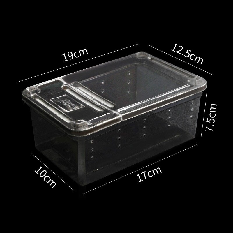 Terrarium for reptiles Transparent Plastic Box Ins... – Grandado