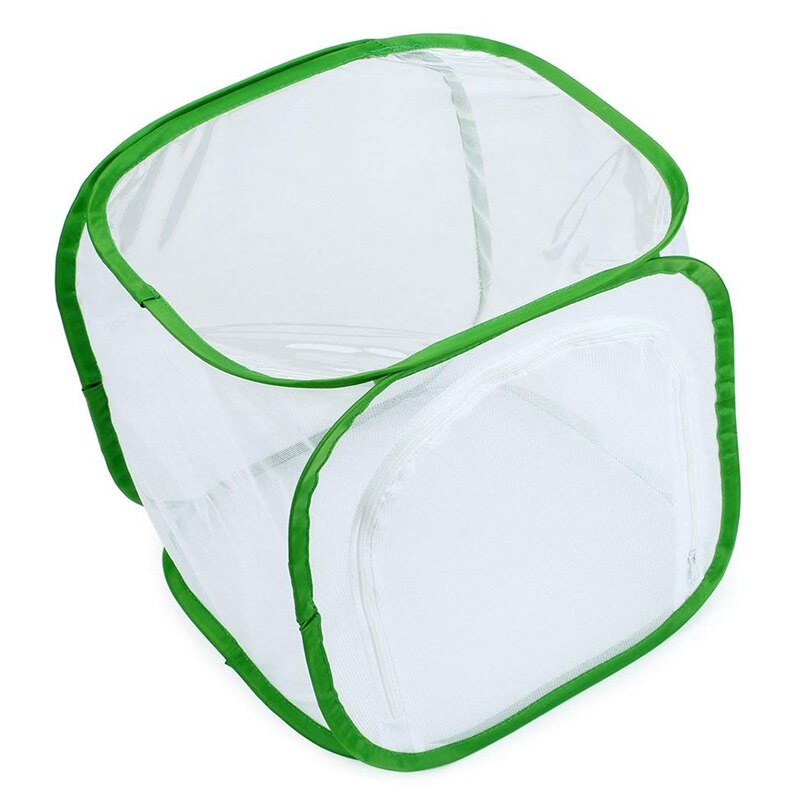 Insect and Butterfly Habitat Cage Terrarium -up 12 x 12 x 12 Inches (White + green)