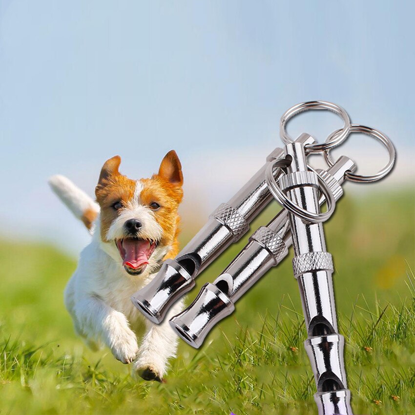 Hond/Puppy Stop Barking Twee-tone Ultrasone Fluit Fluitje, ultrasone Kat Hond Training Geluid Bellen Tool Met Sleutelhanger