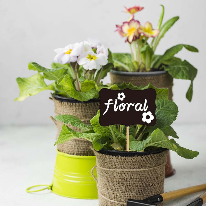 Etiquetas cuadradas pequeñas de madera para plantas, marcadores de madera, flores, verduras, plantas, macetas de jardín, etiquetas de bambú, letreros impermeables, 10 unids/set