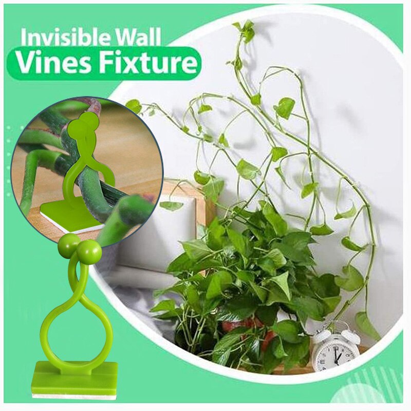 10/20/50 Pcs Invisible Wall Vines Fixture Plant Climbing Wall Clip Sticky Hook Fixing Clip Holder for Home SMR88