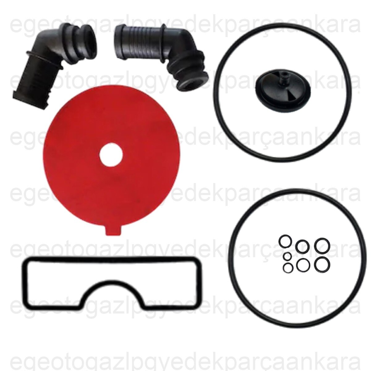 Brc 1200-1500 Genıus MB Equivalent Counterpart LPG/CNG/GPL Italian Reducer Repair Set