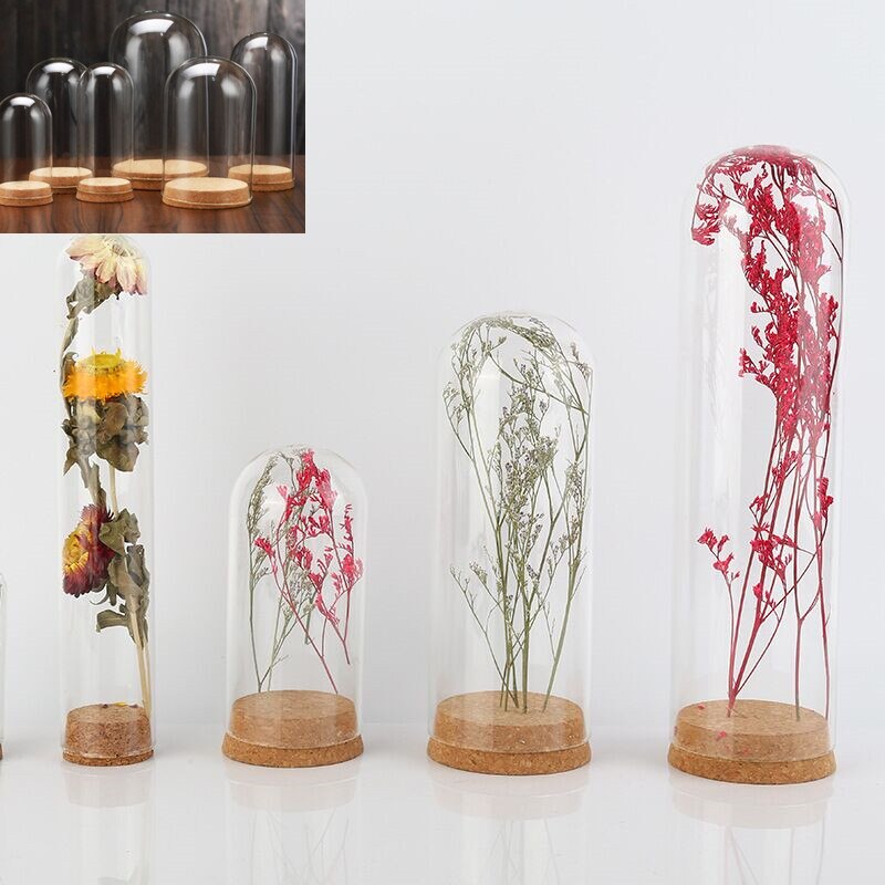 5pcs Clear glass display dome with wood base Display Stand dry flower plant Box for bedroom living room office decor Display