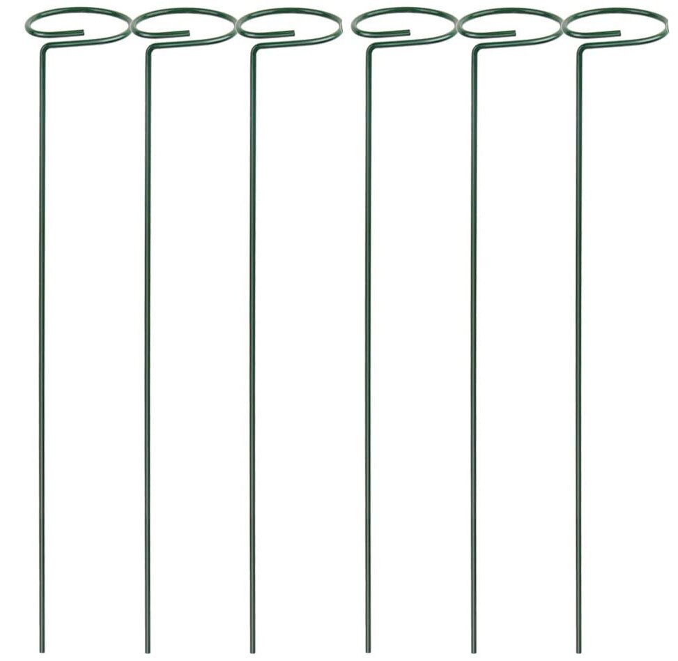 6 Pack Plant Ondersteuning Stakes, tuin Single Stem Ondersteuning Stake Plant Kooi Ondersteuning Ringen Voor Amaryllis Tomaten Orchidee Lelie Peonage