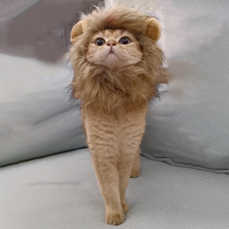Perruque Lion crinière et chat mignon, chapeau pour chiens et chat, accessoires de décoration pour animaux de compagnie, bonnet fantaisie, fournitures pour animaux de compagnie