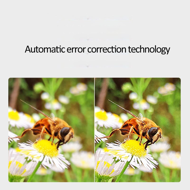 Home HD DVD Player Multimedia Digital TV Support USB DVD video/ DVD+CD Audio/VCD/SVCD JEPG/MP3/WMA/Disc Home Theatre System