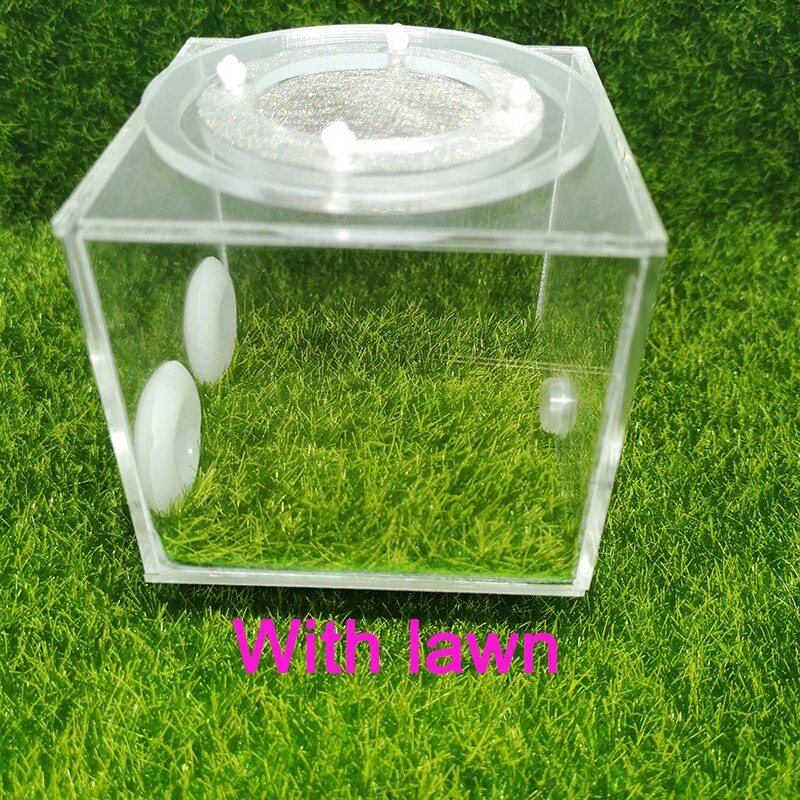 Square Ant Nest Transparent Activity Area Acrylic Ant Farm Climbing Pet Feeding Box 7x7x7 cm: Size-4