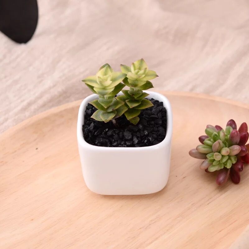 Ceramic Square Geometric Flowerpot Simple Succulent Plant Container Green Planters Small Bonsai Pots Home Decoration