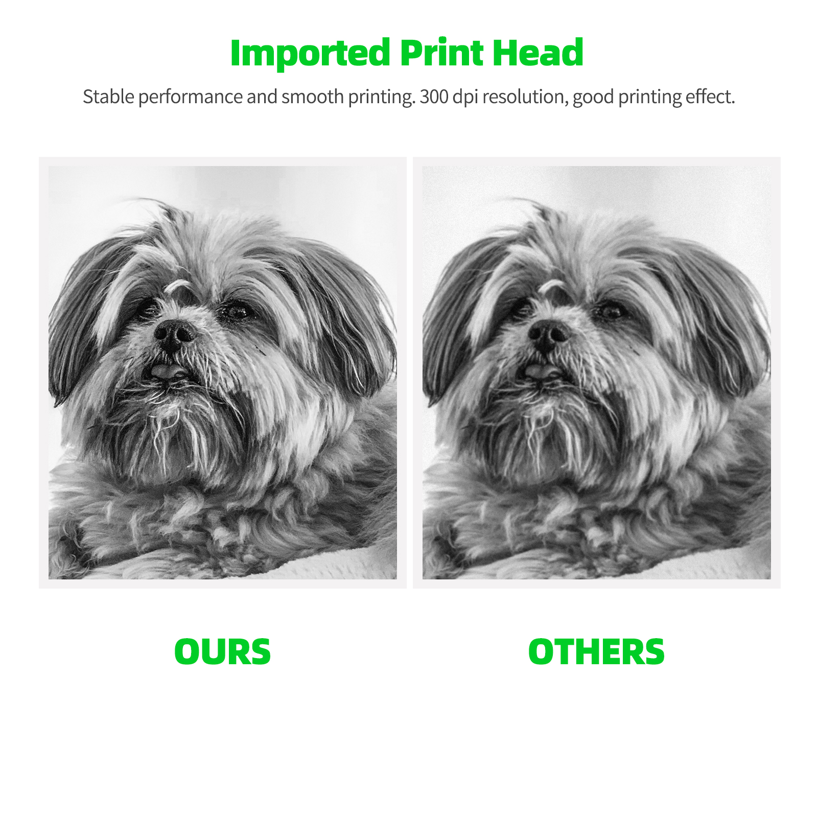 Paperang P2 Pocket Printer 300Dpi Bt Draadloze Printer Draagbare Thermische Printer Voor Foto Compatibel Met Android Ios Windows Mac