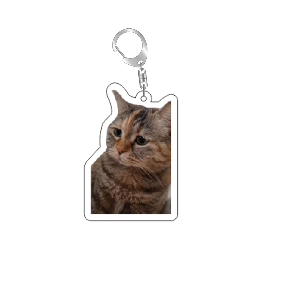 gato meme série chaveiro estudante saco cordão feminino saco pingente chaveiro coisas bonitos barato para melhores amigos