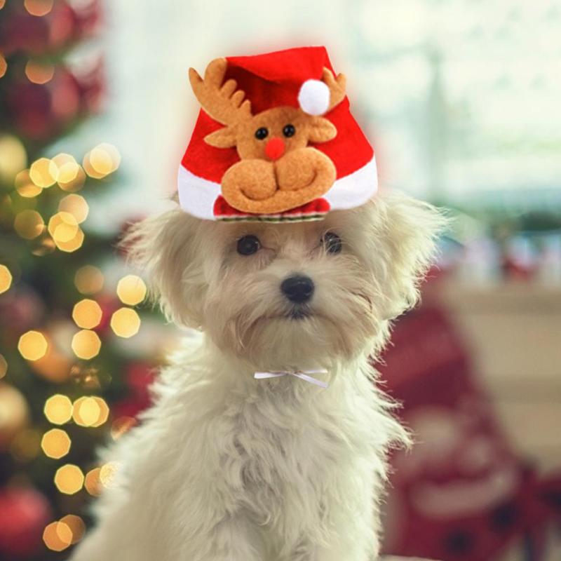 Huisdier kat kerst kerstman hoed kleine puppy kat hond kostuum hoed rode hoed met eland sneeuwpop kerstboom kostuum accessoire
